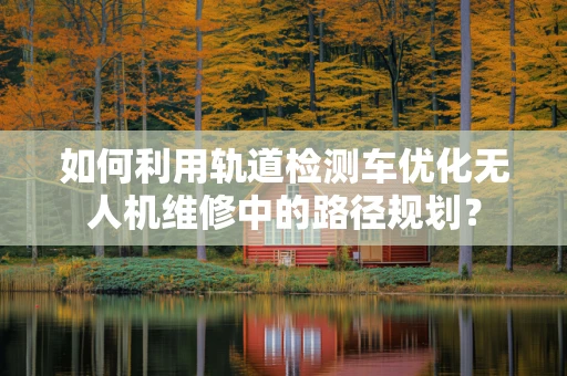 如何利用轨道检测车优化无人机维修中的路径规划？