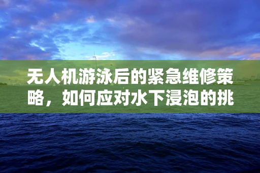 无人机游泳后的紧急维修策略，如何应对水下浸泡的挑战？