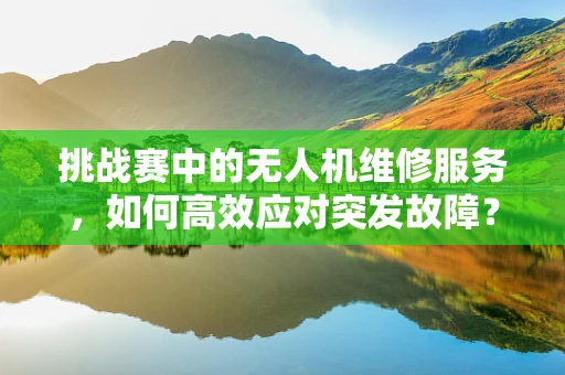 挑战赛中的无人机维修服务，如何高效应对突发故障？
