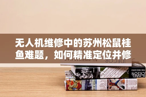 无人机维修中的苏州松鼠桂鱼难题，如何精准定位并修复？