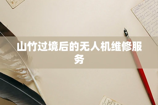 山竹过境后的无人机维修服务