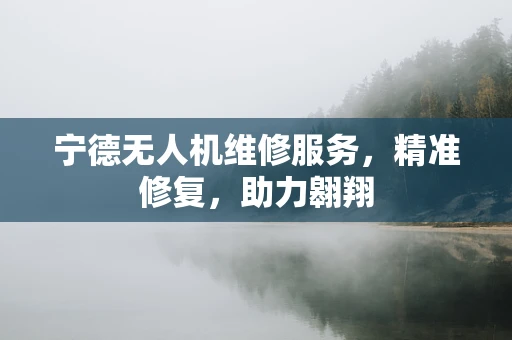 宁德无人机维修服务，精准修复，助力翱翔