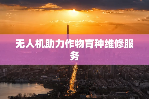 无人机助力作物育种维修服务