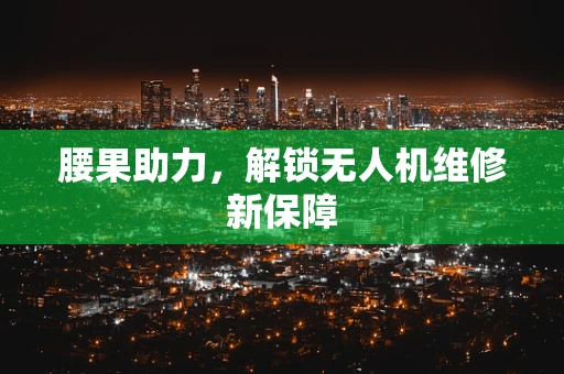 腰果助力，解锁无人机维修新保障