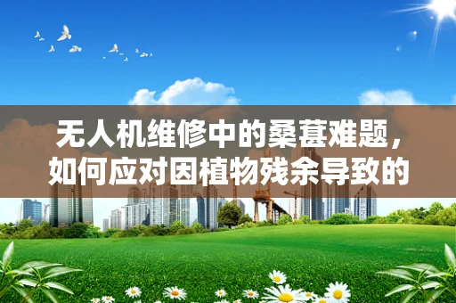 无人机维修中的桑葚难题，如何应对因植物残余导致的电机故障？
