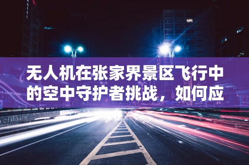 无人机在张家界景区飞行中的空中守护者挑战，如何应对复杂地形维修？