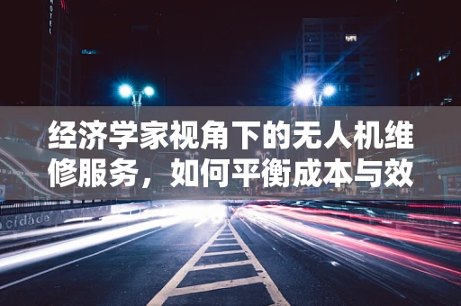 经济学家视角下的无人机维修服务，如何平衡成本与效率？