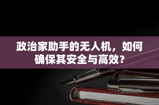 政治家助手的无人机，如何确保其安全与高效？