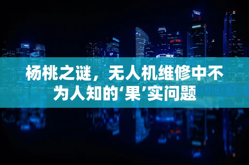 杨桃之谜，无人机维修中不为人知的‘果’实问题