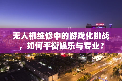 无人机维修中的游戏化挑战，如何平衡娱乐与专业？