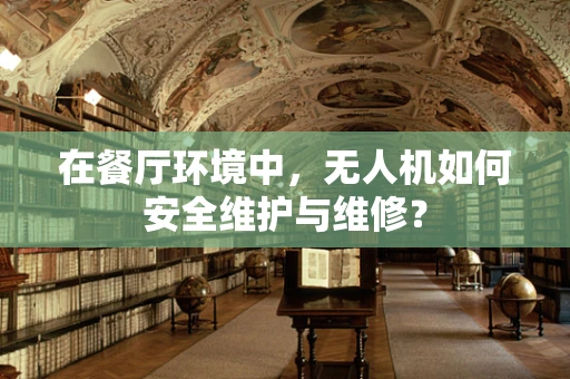 在餐厅环境中，无人机如何安全维护与维修？