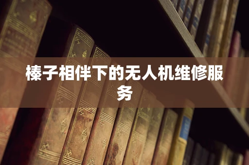 榛子相伴下的无人机维修服务