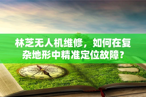 林芝无人机维修，如何在复杂地形中精准定位故障？
