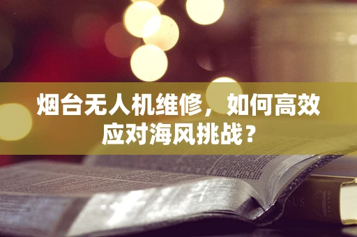 烟台无人机维修，如何高效应对海风挑战？