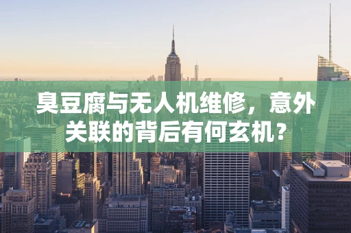 臭豆腐与无人机维修，意外关联的背后有何玄机？