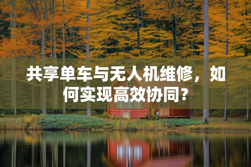 共享单车与无人机维修，如何实现高效协同？