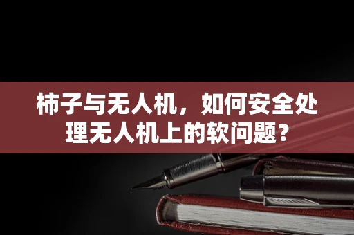 柿子与无人机，如何安全处理无人机上的软问题？