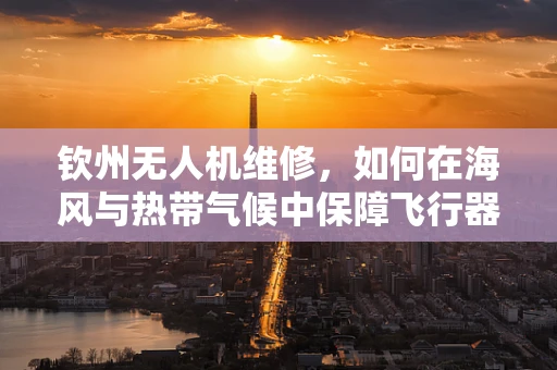 钦州无人机维修，如何在海风与热带气候中保障飞行器‘心脏’的稳健跳动？
