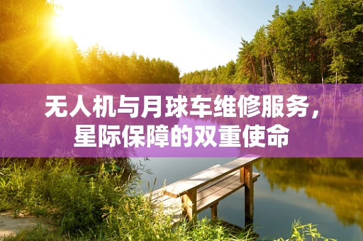 无人机与月球车维修服务，星际保障的双重使命