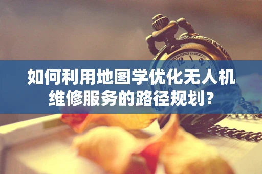 如何利用地图学优化无人机维修服务的路径规划？