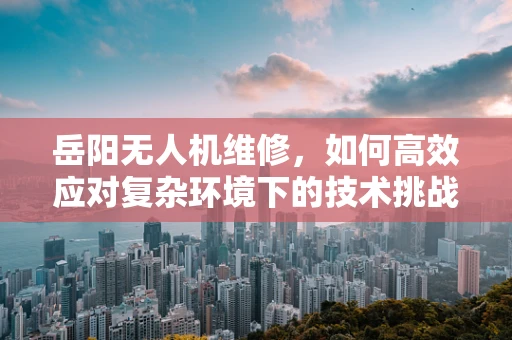 岳阳无人机维修，如何高效应对复杂环境下的技术挑战？
