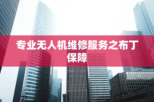 专业无人机维修服务之布丁保障