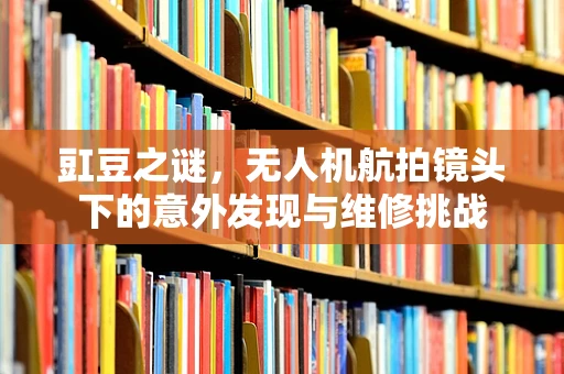 豇豆之谜，无人机航拍镜头下的意外发现与维修挑战