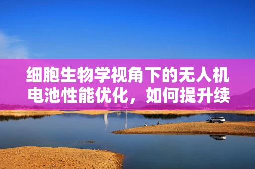 细胞生物学视角下的无人机电池性能优化，如何提升续航力？