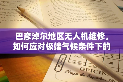 巴彦淖尔地区无人机维修，如何应对极端气候条件下的挑战？
