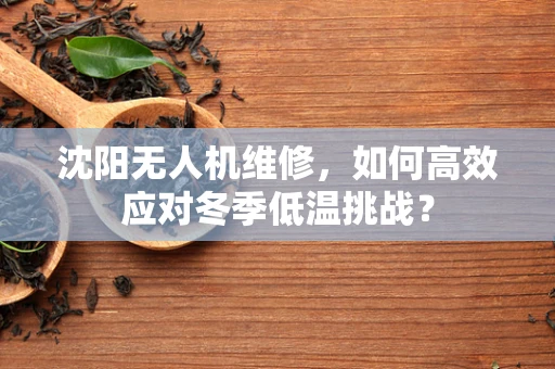沈阳无人机维修，如何高效应对冬季低温挑战？