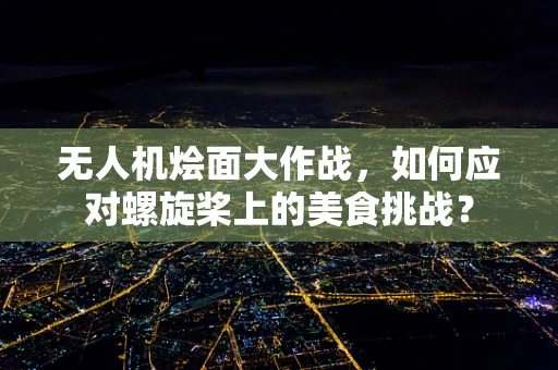 无人机烩面大作战，如何应对螺旋桨上的美食挑战？