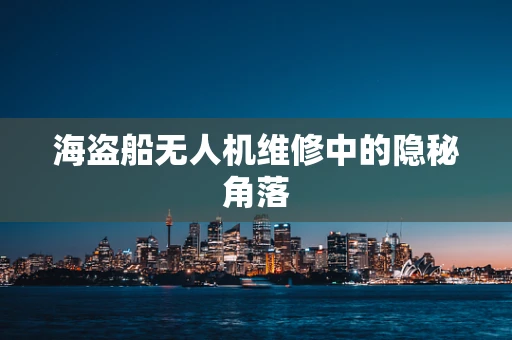 海盗船无人机维修中的隐秘角落