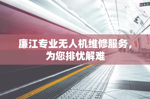 廉江专业无人机维修服务，为您排忧解难