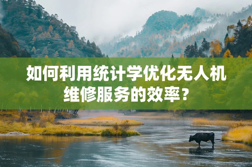 如何利用统计学优化无人机维修服务的效率？