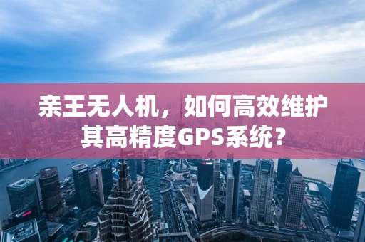 亲王无人机，如何高效维护其高精度GPS系统？