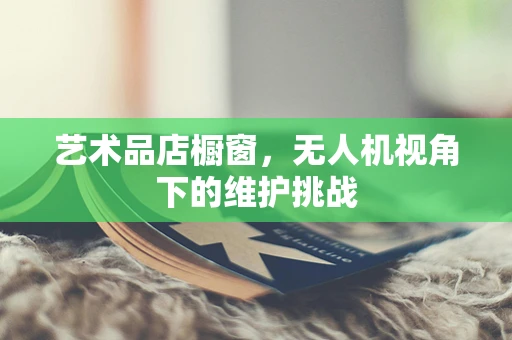 艺术品店橱窗，无人机视角下的维护挑战