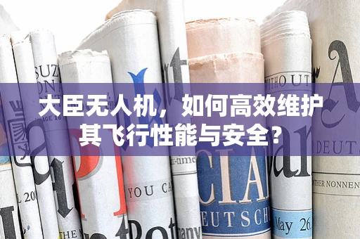 大臣无人机，如何高效维护其飞行性能与安全？