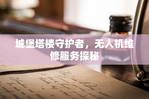 城堡塔楼守护者，无人机维修服务探秘