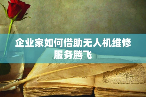 企业家如何借助无人机维修服务腾飞