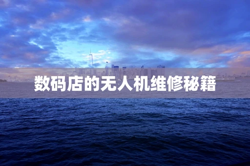 数码店的无人机维修秘籍