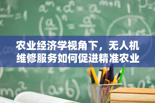 农业经济学视角下，无人机维修服务如何促进精准农业发展？