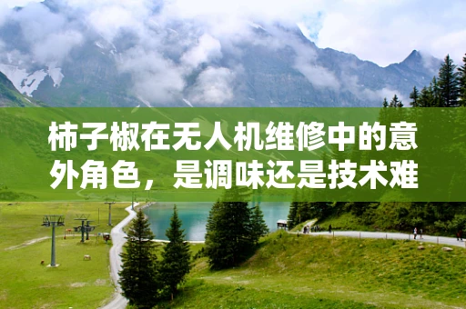 柿子椒在无人机维修中的意外角色，是调味还是技术难题？