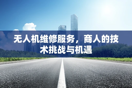 无人机维修服务，商人的技术挑战与机遇