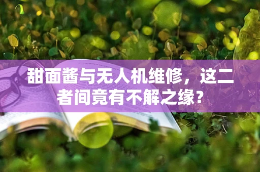 甜面酱与无人机维修，这二者间竟有不解之缘？