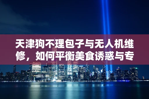 天津狗不理包子与无人机维修，如何平衡美食诱惑与专业任务？