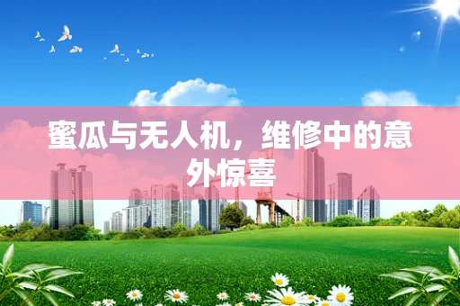 蜜瓜与无人机，维修中的意外惊喜
