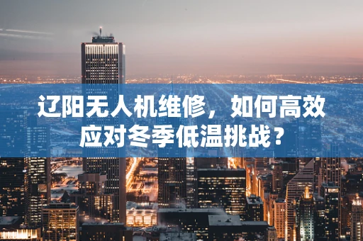 辽阳无人机维修，如何高效应对冬季低温挑战？