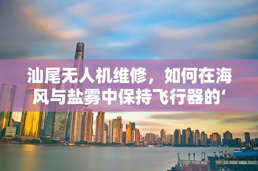 汕尾无人机维修，如何在海风与盐雾中保持飞行器的‘心脏’健康？