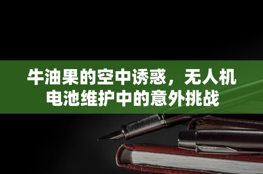 牛油果的空中诱惑，无人机电池维护中的意外挑战