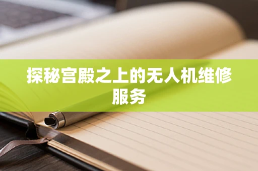 探秘宫殿之上的无人机维修服务